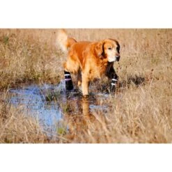 Bark Brite All Weather Reflective Neoprene Dog Boots, 4 Count + 2 Items -Pet Dog Supply Store 728150 PT8. AC SS1800 V1669906960