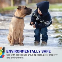 Safe Paw PetSafe Ice Melt For Dogs & Cats + 2 Items 13 Safe Paw PetSafe Ice Melt For Dogs & Cats + 2 Items -Pet Dog Supply Store 728166 PT3. AC SS1800 V1669907012