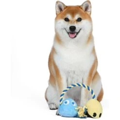 Fetch For Pets Pac-Man Pac-Man & Inky Sliding Rope Dog Toy -Pet Dog Supply Store 728878 PT3. AC SS1800 V1682609236