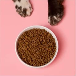 Waggo Cling Non-Skid Silicone Bottom Dog & Cat Bowl 10 Waggo Cling Non-Skid Silicone Bottom Dog & Cat Bowl -Pet Dog Supply Store 731438 PT2. AC SS1800 V1698437624