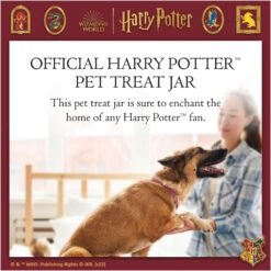 Fetch For Pets Harry Potter Hedwig Dog Treat Jar -Pet Dog Supply Store 738710 PT2. AC SS1800 V1678907363