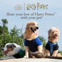 Fetch For Pets Harry Potter Hedwig Dog Treat Jar -Pet Dog Supply Store 738710 PT6. AC SS1800 V1678906022