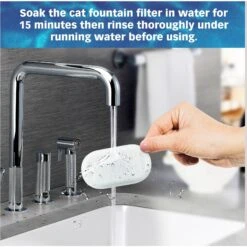 Pet Standard PETLIBRO Model PLWF003 Stainless Steel Pet Water Fountain Replacement Filter & Replacement Pre-Filter Sponges, 67-oz, 12-pack -Pet Dog Supply Store 738846 PT6. AC SS1800 V1675290101