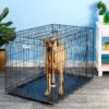 Precision Pet Products Provalu Double Door Collapsible Wire Dog Crate -Pet Dog Supply Store 74070 MAIN. AC SS1800 V1569014956