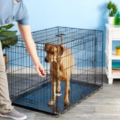 Precision Pet Products Provalu Double Door Collapsible Wire Dog Crate -Pet Dog Supply Store 74070 PT7. AC SS1800 V1496757266