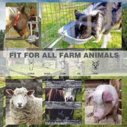 Win World Gazebo Automatic Dog & Cat Feeder, Grey, Large -Pet Dog Supply Store 740734 PT5. AC SS1800 V1671222524