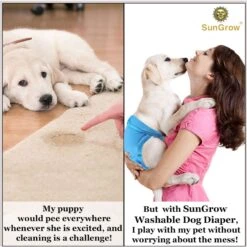 SunGrow Reusable Female Cat & Dog Diapers For Heat Cycle, 9-in To 15-in Waist, 3 Count -Pet Dog Supply Store 741558 PT3. AC SS1800 V1693496142