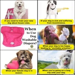 SunGrow Reusable Female Cat & Dog Diapers For Heat Cycle, 9-in To 15-in Waist, 3 Count -Pet Dog Supply Store 741558 PT4. AC SS1800 V1700156086