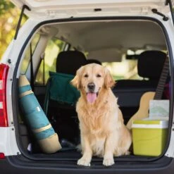 Max & Marlow Go Gear Portable Waterproof Roll-Up Cat & Dog Bed Mat -Pet Dog Supply Store 741934 PT2. AC SS1800 V1674069800