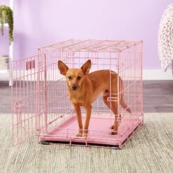 MidWest ICrate Single Door Collapsible Wire Dog Crate, Pink, 24 Inch