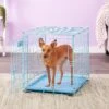 MidWest ICrate Single Door Collapsible Wire Dog Crate, Blue 2 MidWest ICrate Single Door Collapsible Wire Dog Crate, Blue -Pet Dog Supply Store 74292 MAIN. AC SS1800 V1569015254