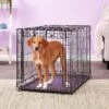 MidWest Ovation Single Door Collapsible Wire Dog Crate -Pet Dog Supply Store 74296 MAIN. AC SS1800 V1569015303
