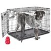 MidWest ICrate Fold & Carry Double Door Collapsible Wire Dog Crate & KONG Classic Dog Toy -Pet Dog Supply Store 752366 MAIN. AC SS1800 V1672869767