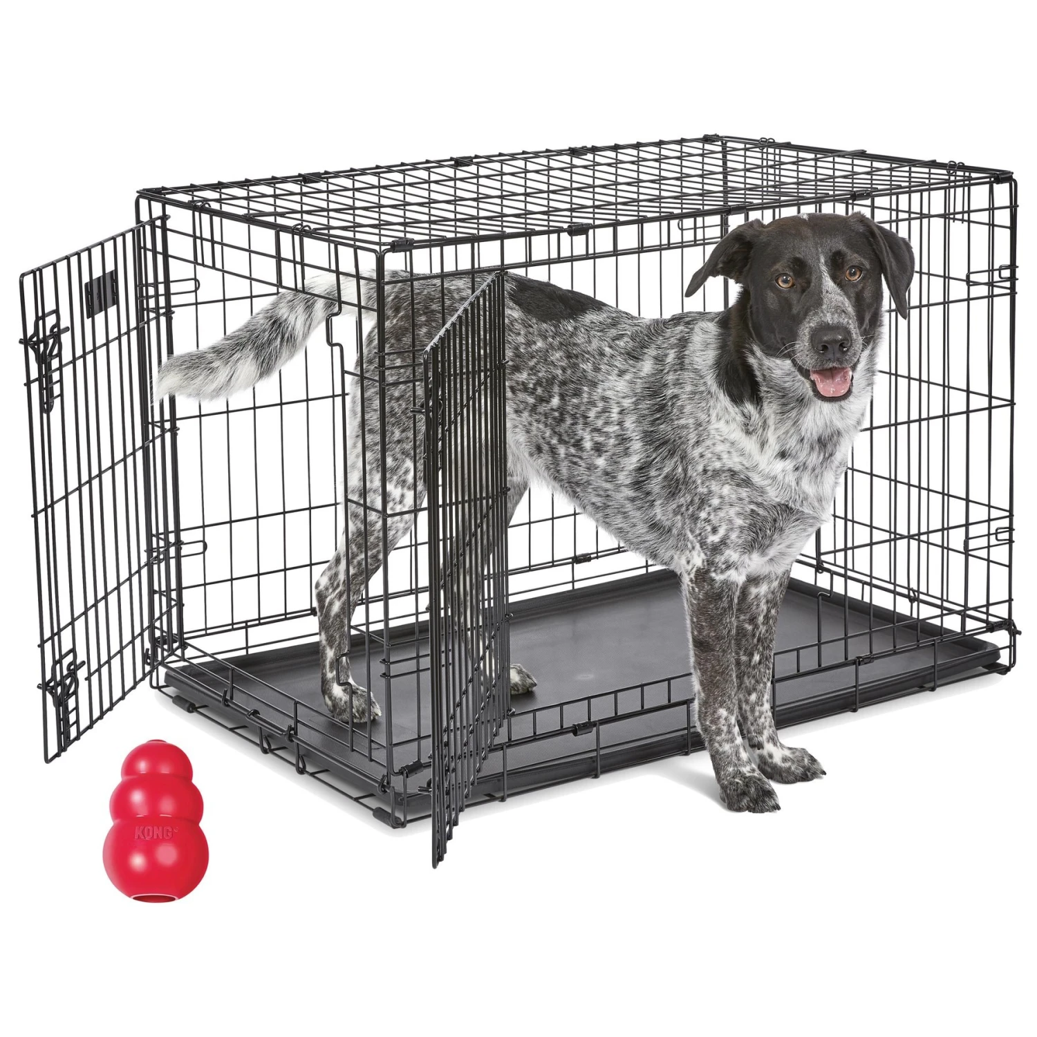 MidWest ICrate Fold & Carry Double Door Collapsible Wire Dog Crate & KONG Classic Dog Toy 3 MidWest ICrate Fold & Carry Double Door Collapsible Wire Dog Crate & KONG Classic Dog Toy