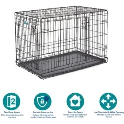 MidWest ICrate Fold & Carry Double Door Collapsible Wire Dog Crate & KONG Classic Dog Toy 15 MidWest ICrate Fold & Carry Double Door Collapsible Wire Dog Crate & KONG Classic Dog Toy -Pet Dog Supply Store 752366 PT4. AC SS1800 V1672869881