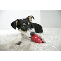 MidWest ICrate Fold & Carry Double Door Collapsible Wire Dog Crate & KONG Classic Dog Toy 19 MidWest ICrate Fold & Carry Double Door Collapsible Wire Dog Crate & KONG Classic Dog Toy -Pet Dog Supply Store 752366 PT8. AC SS1800 V1672928527