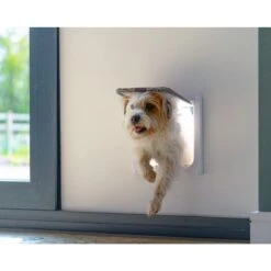 Cat Mate Large Cat/Small Dog 4-Way Self Lining Door -Pet Dog Supply Store 75283 PT5. AC SS1800 V1492207113