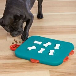 Nina Ottosson By Outward Hound Casino Puzzle Game Dog Toy 16 Nina Ottosson By Outward Hound Casino Puzzle Game Dog Toy -Pet Dog Supply Store 75370 PT5. AC SS1800 V1694286656
