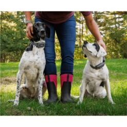 SpotOn Fence Verizon GPS Dog Fence 17 SpotOn Fence Verizon GPS Dog Fence -Pet Dog Supply Store 757574 PT7. AC SS1800 V1674769811