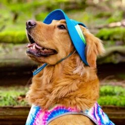 Canada Pooch Chill Seeker Cooling Dog Hat -Pet Dog Supply Store 758798 PT3. AC SS1800 V1677532826