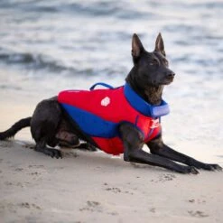 Canada Pooch High Tide Life Dog Jacket 11 Canada Pooch High Tide Life Dog Jacket -Pet Dog Supply Store 758830 PT4. AC SS1800 V1677535862