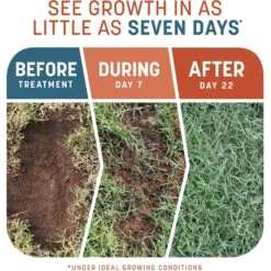 Pennington Smart Patch Bermudagrass Mix Dog Lawn-Treatment & Grass Saver -Pet Dog Supply Store 763358 PT2. AC SS1800 V1674757888