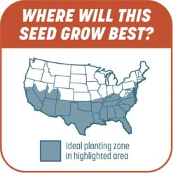 Pennington Smart Patch Bermudagrass Mix Dog Lawn-Treatment & Grass Saver -Pet Dog Supply Store 763358 PT6. AC SS1800 V1674769353