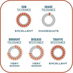 Pennington Smart Patch Bermudagrass Mix Dog Lawn-Treatment & Grass Saver -Pet Dog Supply Store 763358 PT8. AC SS1800 V1674769356