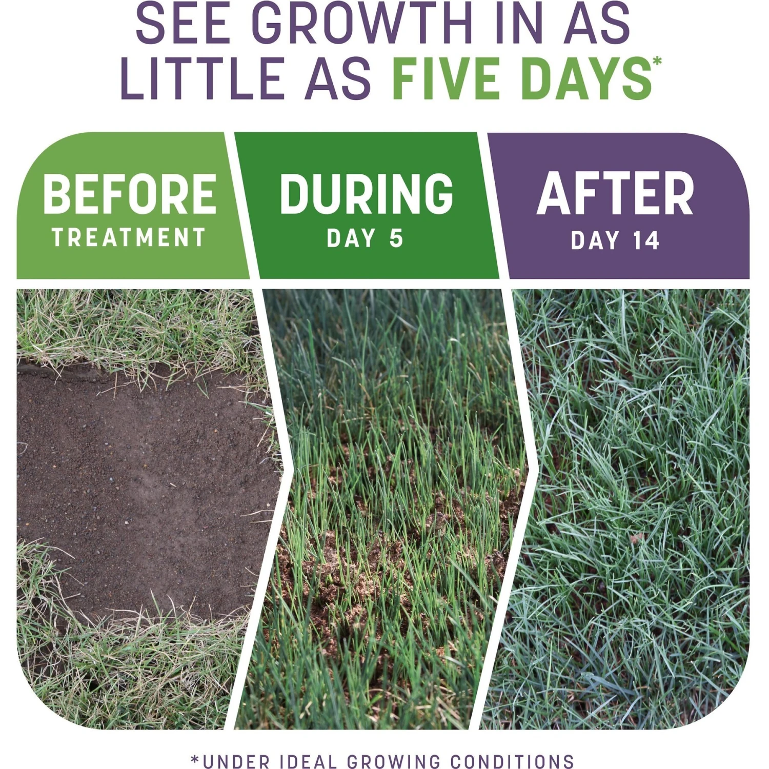 Pennington Smart Patch Dense Shade Mix Dog Lawn-Treatment & Grass Saver 5 Pennington Smart Patch Dense Shade Mix Dog Lawn-Treatment & Grass Saver - Image 3