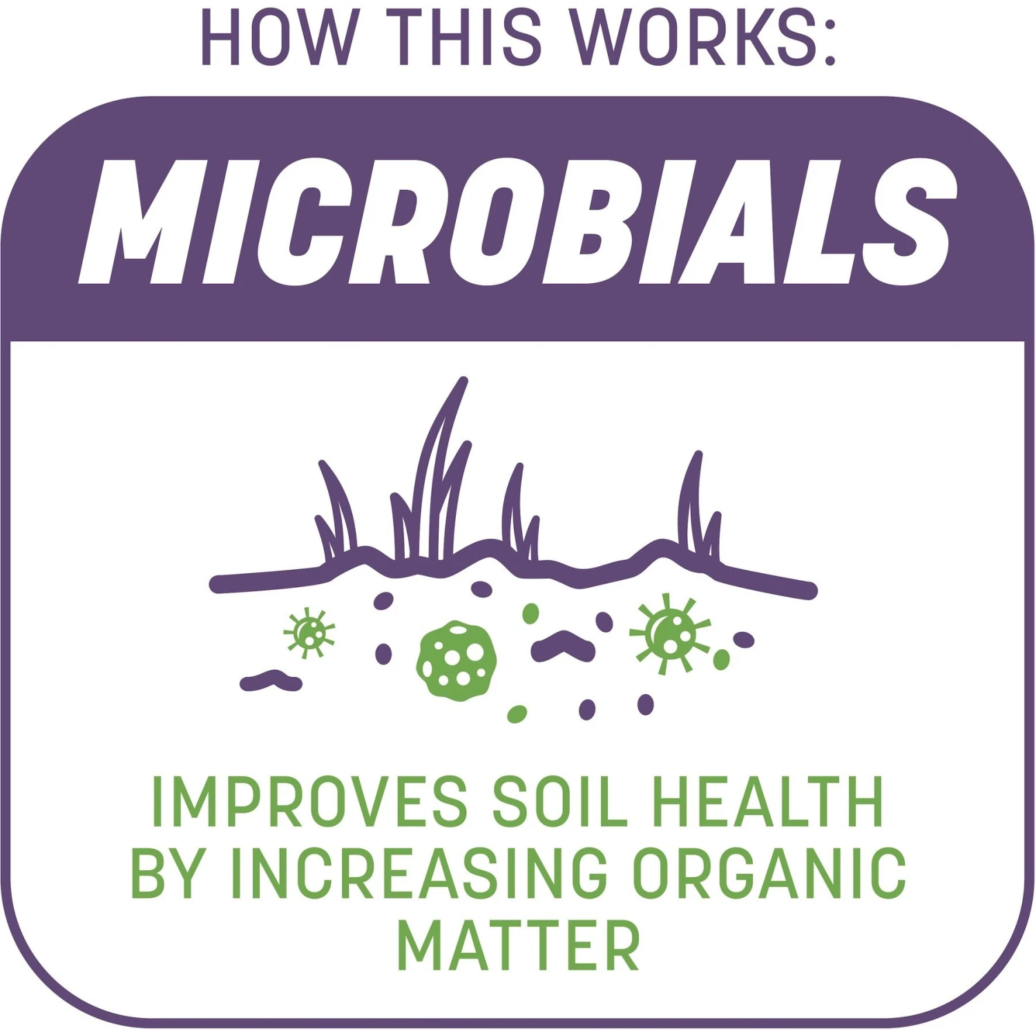 Pennington Smart Patch Dense Shade Mix Dog Lawn-Treatment & Grass Saver 6 Pennington Smart Patch Dense Shade Mix Dog Lawn-Treatment & Grass Saver - Image 4