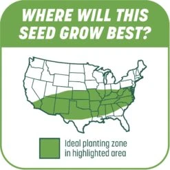 Pennington Smart Patch Tall Fescue Mix Dog Lawn-Treatment & Grass Saver -Pet Dog Supply Store 763422 PT6. AC SS1800 V1674745041