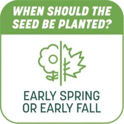 Pennington Smart Patch Tall Fescue Mix Dog Lawn-Treatment & Grass Saver -Pet Dog Supply Store 763422 PT7. AC SS1800 V1674768930