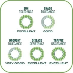 Pennington Smart Patch Tall Fescue Mix Dog Lawn-Treatment & Grass Saver -Pet Dog Supply Store 763422 PT8. AC SS1800 V1674745099