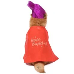 Disney Hocus Pocus Halloween Mary Sanderson Cape & Pet Wig Dog Costume With PVC Bag & Insert Card -Pet Dog Supply Store 763478 PT2. AC SS1800 V1686850817