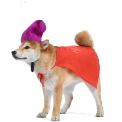 Disney Hocus Pocus Halloween Mary Sanderson Cape & Pet Wig Dog Costume With PVC Bag & Insert Card -Pet Dog Supply Store 763478 PT3. AC SS1800 V1686849979