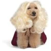 Disney Hocus Pocus Halloween Sarah Sanderson Cape & Pet Wig Dog Costume With PVC Bag & Insert Card