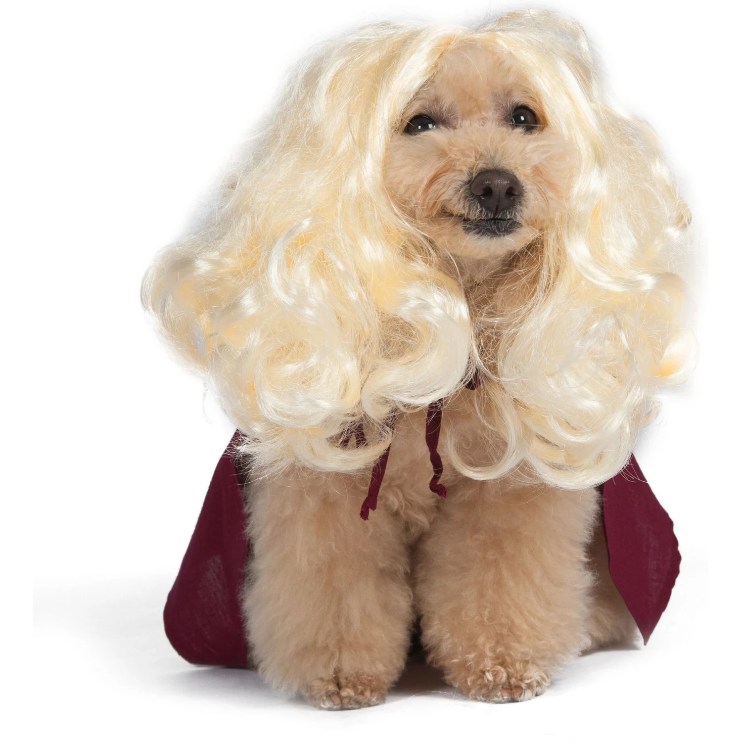 Disney Hocus Pocus Halloween Sarah Sanderson Cape & Pet Wig Dog Costume With PVC Bag & Insert Card 3 Disney Hocus Pocus Halloween Sarah Sanderson Cape & Pet Wig Dog Costume With PVC Bag & Insert Card