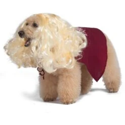Disney Hocus Pocus Halloween Sarah Sanderson Cape & Pet Wig Dog Costume With PVC Bag & Insert Card 11 Disney Hocus Pocus Halloween Sarah Sanderson Cape & Pet Wig Dog Costume With PVC Bag & Insert Card -Pet Dog Supply Store 763518 PT3. AC SS1800 V1686850100