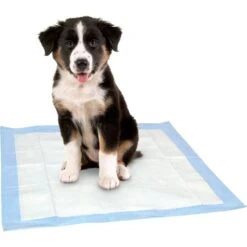 Dr. Pol 22x22-in Dog Training Pad, 100 Count -Pet Dog Supply Store 773726 PT6. AC SS1800 V1676913946