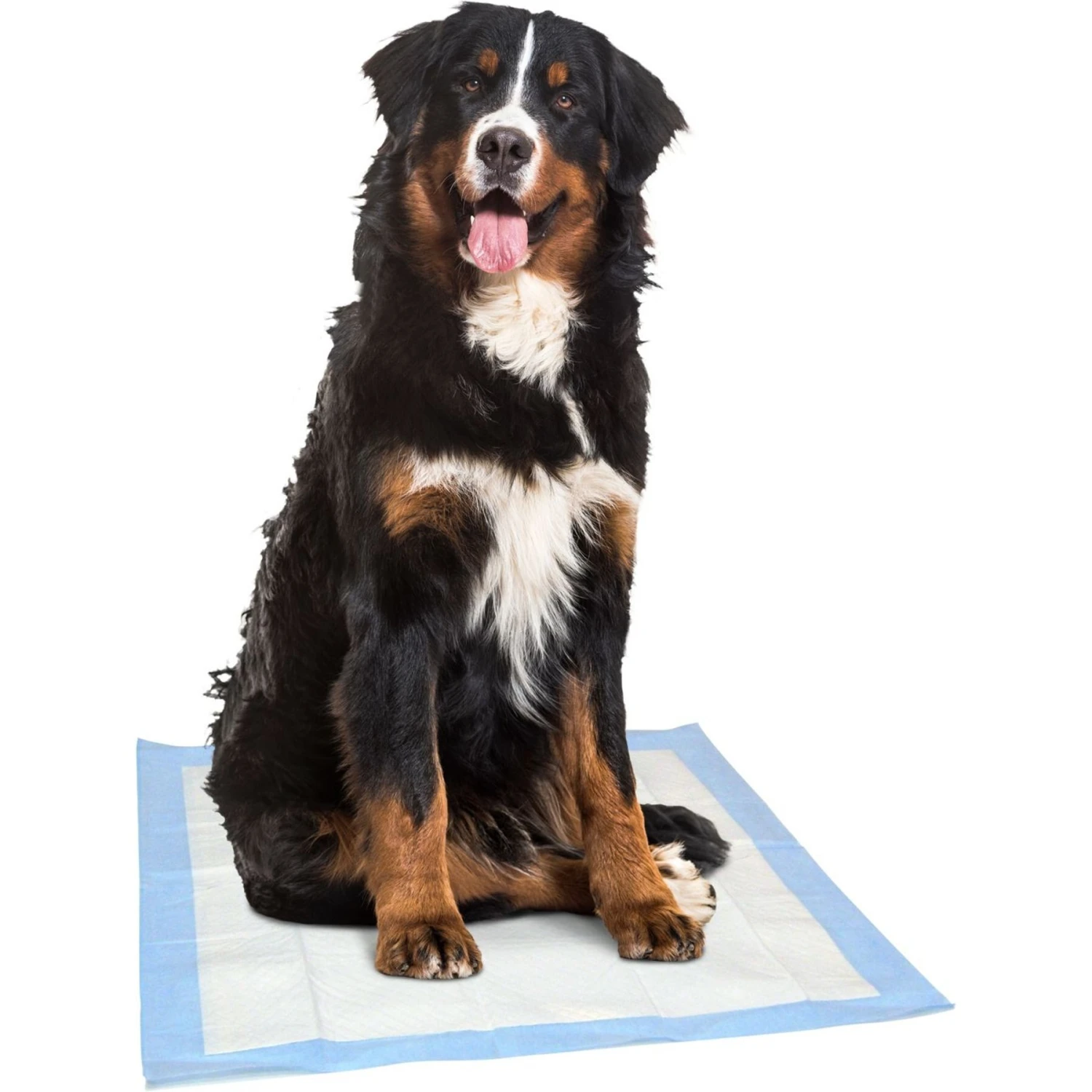 Dr. Pol 28x30-in Fresh Scent Dog Training Pad 6 Dr. Pol 28x30-in Fresh Scent Dog Training Pad - Image 4