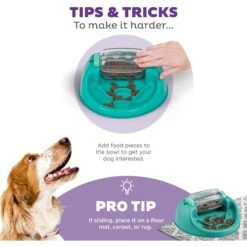 Nina Ottosson By Outward Hound Spin N' Eat Dog Food Puzzle Feeder, Green -Pet Dog Supply Store 778214 PT3. AC SS1800 V1694439634