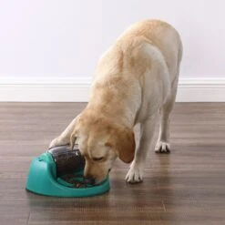 Nina Ottosson By Outward Hound Spin N' Eat Dog Food Puzzle Feeder, Green -Pet Dog Supply Store 778214 PT4. AC SS1800 V1694287366