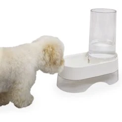 Richell Elevated Gravity Water Dispenser Dog & Cat Bowl 13 Richell Elevated Gravity Water Dispenser Dog & Cat Bowl -Pet Dog Supply Store 778286 PT3. AC SS1800 V1677103202