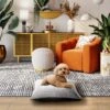Max & Marlow Plush Pillow Cat & Dog Bed, Large 1 Max & Marlow Plush Pillow Cat & Dog Bed, Large -Pet Dog Supply Store 780718 MAIN. AC SS1800 V1678993238