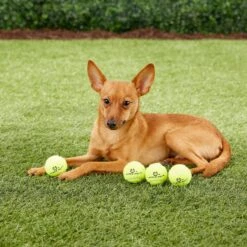 Hyper Pet K9 Kannon Mini K2 Dog Toy 13 Hyper Pet K9 Kannon Mini K2 Dog Toy -Pet Dog Supply Store 80076 PT2. AC SS1800 V1489184698