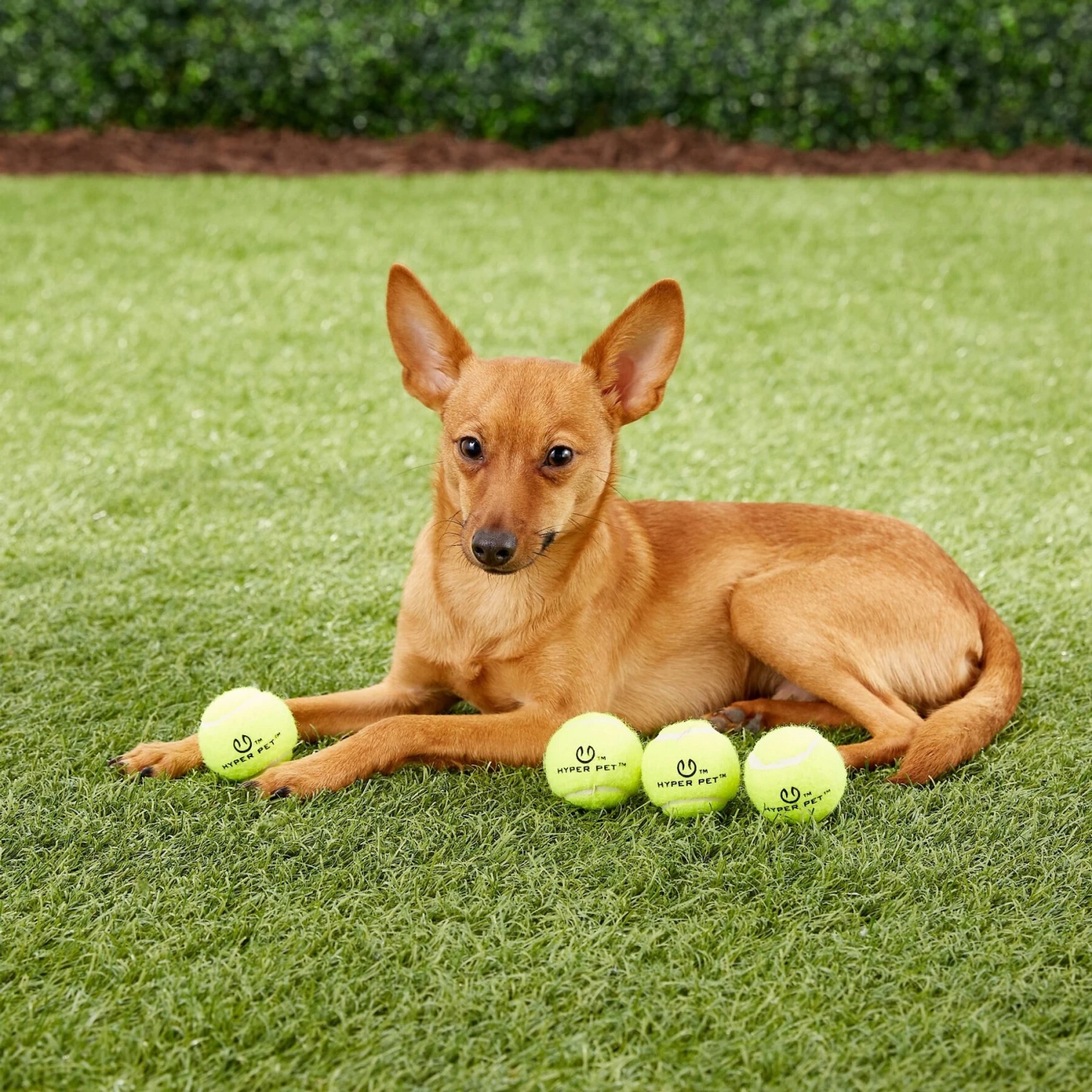 Hyper Pet K9 Kannon Mini K2 Dog Toy 8 Hyper Pet K9 Kannon Mini K2 Dog Toy - Image 6