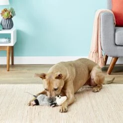 Hyper Pet Real Skinz Dog Toy -Pet Dog Supply Store 80126 PT1. AC SS1800 V1548967466