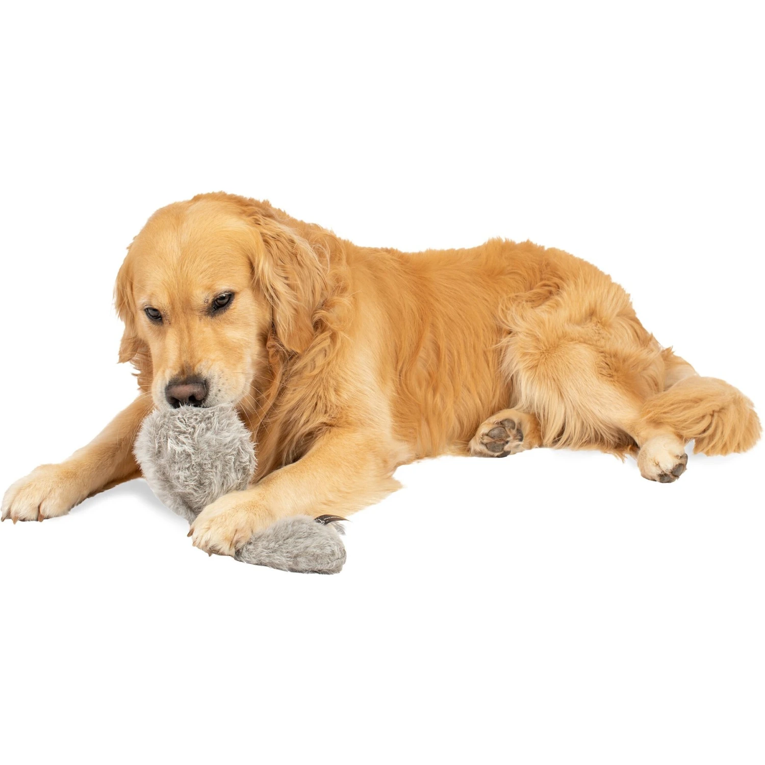 Hyper Pet Doggie Tail Interactive Dog Toy 8 Hyper Pet Doggie Tail Interactive Dog Toy - Image 6