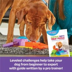 Brightkins Surprise Party! Puzzle Treat Dog Toy -Pet Dog Supply Store 805390 PT2. AC SS1800 V1679069715