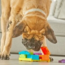 Brightkins Surprise Party! Puzzle Treat Dog Toy -Pet Dog Supply Store 805390 PT3. AC SS1800 V1682450532